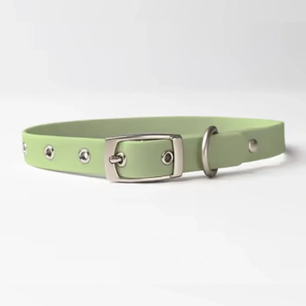Diggs light green Waterproof Dog Collar - Medium